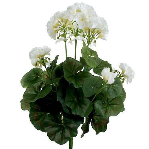 Krzew geranium biały 38cm