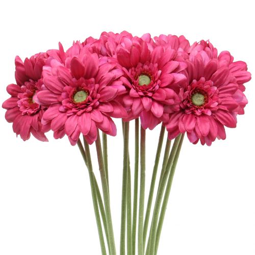 Floristik24 Gerbera różowa 48 cm 12 sztuk