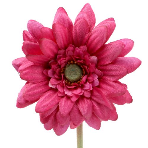 Floristik24 Gerbera różowa 48 cm 12 sztuk