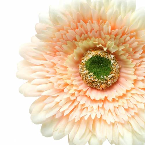 Floristik24 Gerbera sztuczna brzoskwinia 62cm 6szt
