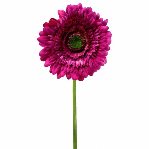 Floristik24 Gerbera sztuczna fioletowa 62cm 6szt.