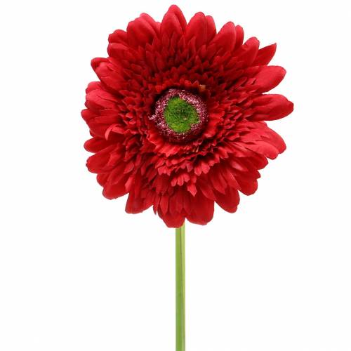 Floristik24 Gerbera sztuczna czerwona 62cm 6szt