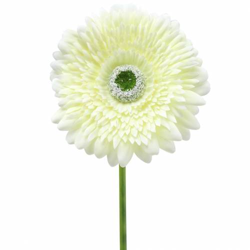 Gerbera sztuczna biała 62cm 6 szt