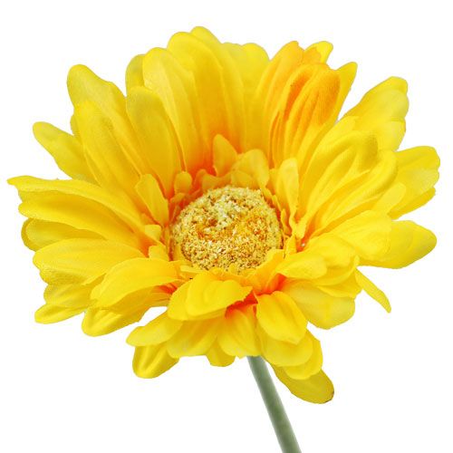 Floristik24 Gerbera sztuczna żółta Ø10cm L55cm 6szt.