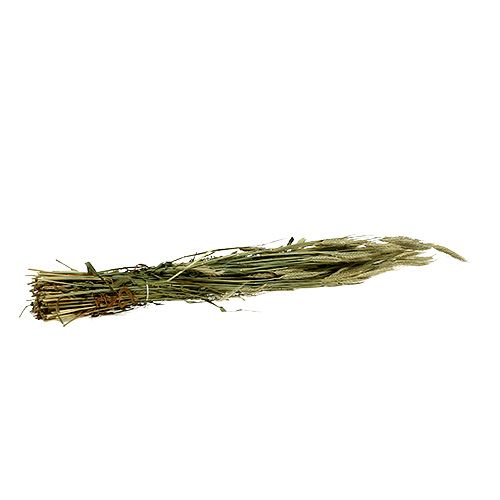 Produkt Ozdoba z ziarna jęczmienia dekoracja sucha naturalna pęczek 80cm 1 sztuka