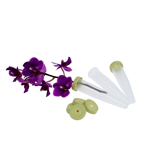 Floristik24 Rurki aranżacyjne 7,5 x 1,5cm 100 sztuk