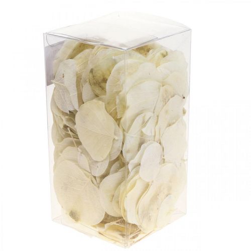 Produkt Dekoracja z suszonych liści Moneta Suchy krem florystyczny 100g