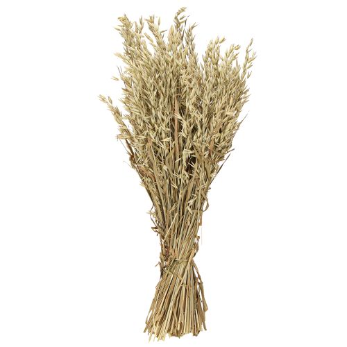 Produkt Owies suszony dekoracyjny pęczek owsa naturalny dekoracyjny pęczek 60cm 200g