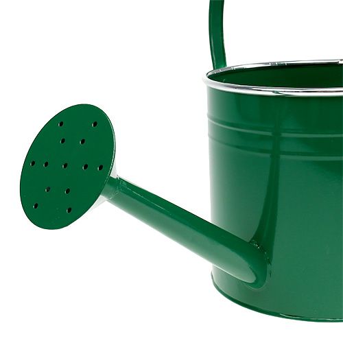 Floristik24 Konewka dekoracyjna ciemnozielona Ø20cm H18cm