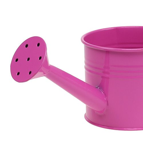 Produkt Konewka mix Ø7,5cm W7,5cm 8 szt