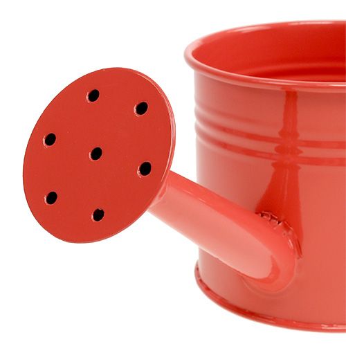 Floristik24 Konewka Pomarańczowa Mix Ø11cm H9cm 8szt.