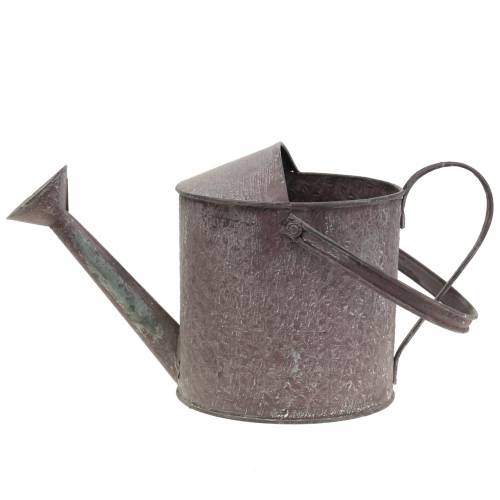 Floristik24 Deco Konewka fioletowa H15cm
