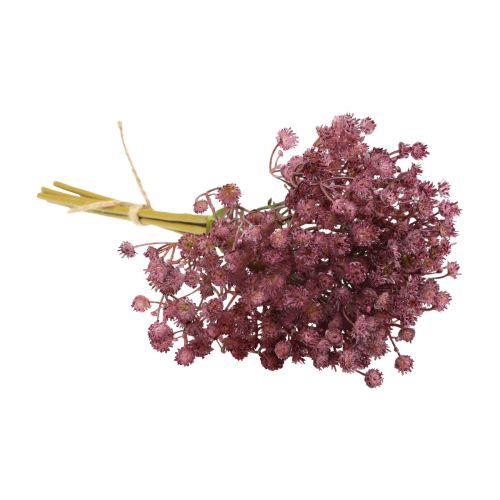 Produkt Gypsophila Gypsophila Gypsophila sztuczny fiolet 35cm 5 szt