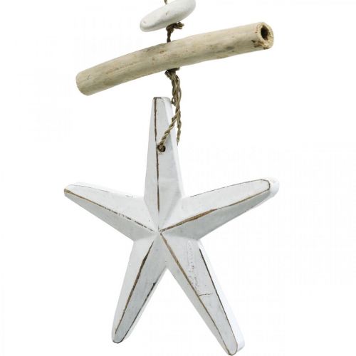 Produkt Morska girlanda dekoracyjna konik morski z driftu, gwiazda 25cm zestaw 2