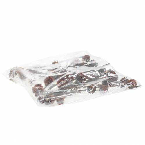 Produkt Glabrum II (1) 25 szt