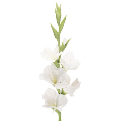 Sztuczny mieczyk, długa łodyga, do wazonów, 88 cm kupić | Floristik24.pl