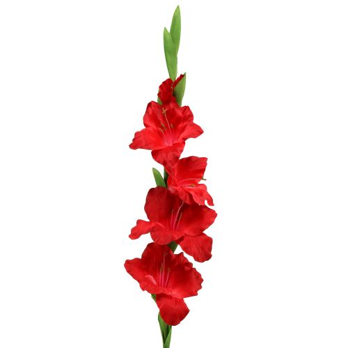 Floristik24 Gladiolus czerwony sztuczny 86 cm