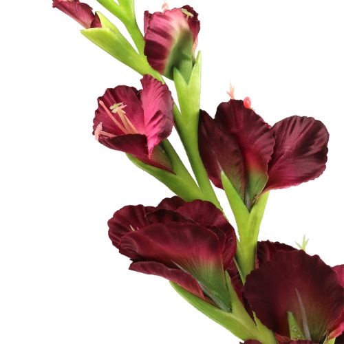 Floristik24 Gladiolus Real Touch Bordeaux 93cm