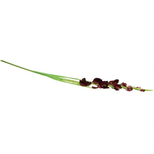 Floristik24 Gladiolus Real Touch Bordeaux 93cm