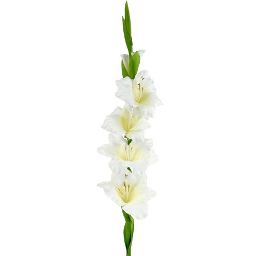 Floristik24 Gladiolus biały 86cm sztuczny