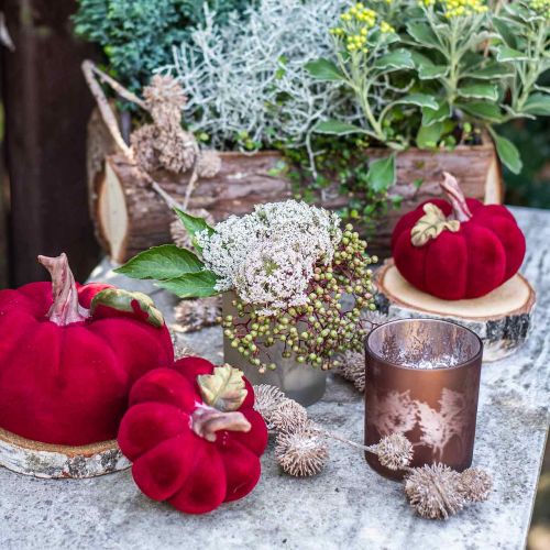 Floristik24 Lampion szklany, szklanka tealight z motywem liści, dekoracja jesienna Ø8cm W9cm 2szt