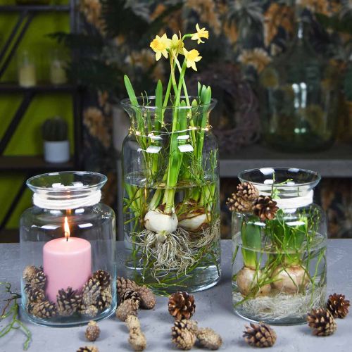 Produkt Szklany wazon na kwiaty szeroki przezroczysty Ø12cm W20cm