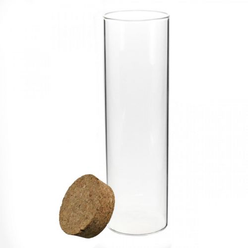Floristik24 Szkło z korkową pokrywką Szklany cylinder z korkiem Przezroczysty Ø6cm W21cm