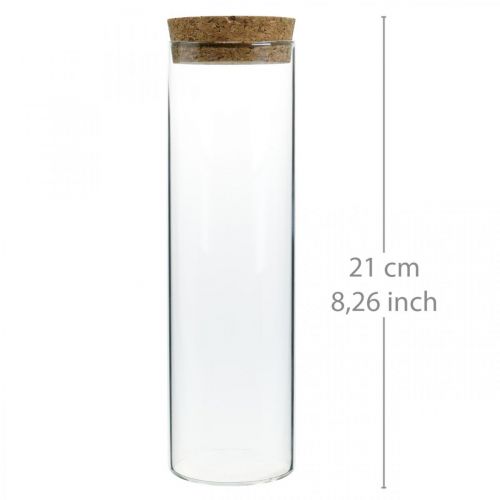 Produkt Szkło z korkową pokrywką Szklany cylinder z korkiem Przezroczysty Ø6cm W21cm