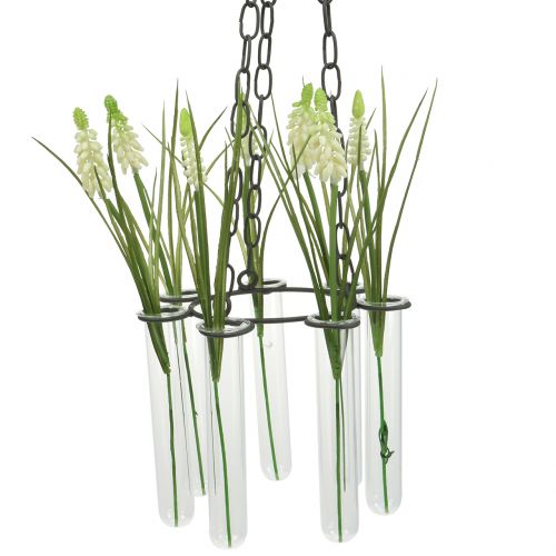 Floristik24 Wieniec wiszący probówka Ø18cm