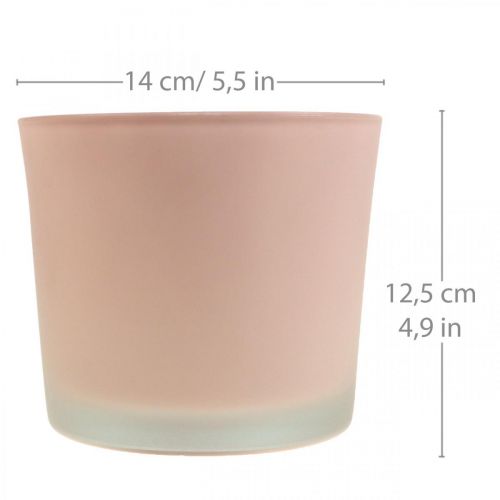 Produkt Doniczka szklana sadzarka różowa szklana wanna Ø14,5 cm H12,5 cm