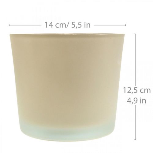 Produkt Doniczka szklana beżowa Doniczka szklana Ø14,5cm W12,5cm