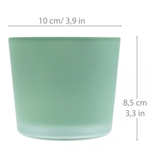 Floristik24 Szklana doniczka zielona doniczka szklana wanna Ø10cm W8,5cm