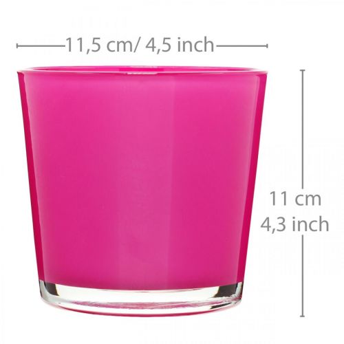 Floristik24 Szklana wanna, donica różowa Ø11,5cm W11cm