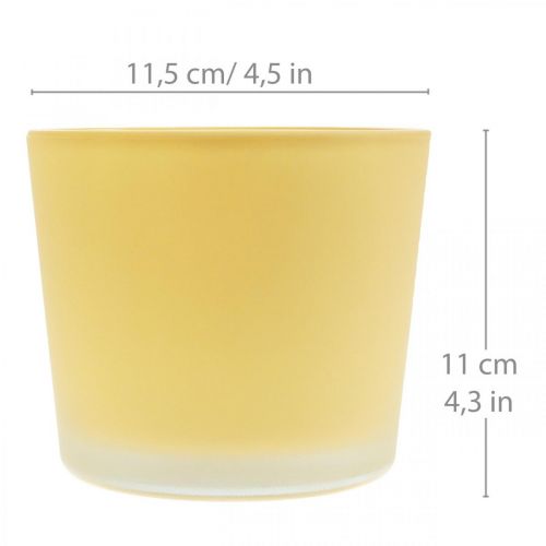 Produkt Szklana doniczka żółta dekoracyjna szklana wanna Ø11.5cm W11cm