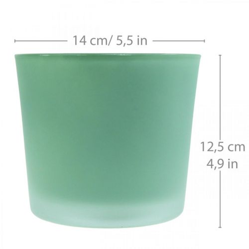 Produkt Szklana doniczka zielona sadzarka szklana wanna Ø14.5cm H12.5cm