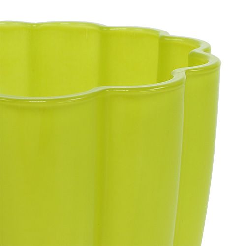 Floristik24 Wazon szklany "Bloom" limonka Ø14cm H17cm