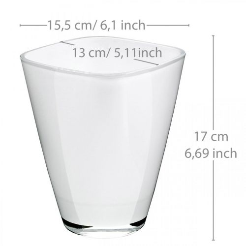 Floristik24 Sadzarka do orchidei białe szkło W17cm S13cm