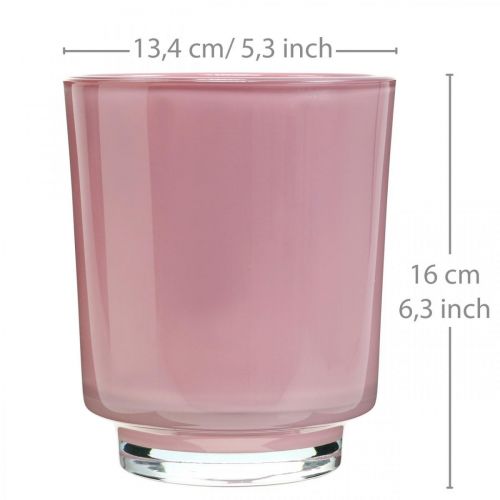 Floristik24 Doniczka do orchidei szklana różowa W16cm Ø13.4cm