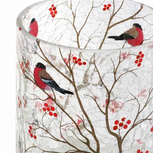 Floristik24 Latarnia Bullfinch Crackle Clear Ø9cm W10cm