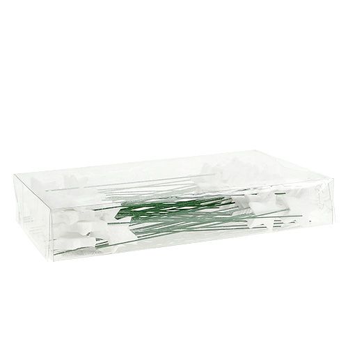Floristik24 Gwiazda brokatowa na druciku biała 4cm L22cm 60szt