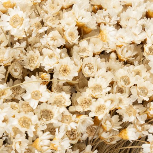 Produkt Bukiet z suszonych kwiatów, delikatne kwiaty do naturalnej dekoracji domu, 44 cm