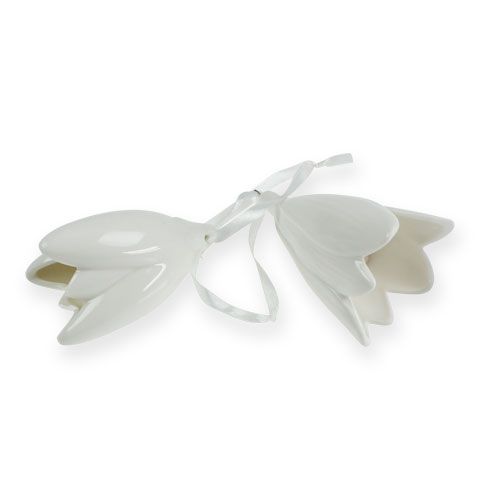 Floristik24 Bellflower biały do zawieszenia 9cm, 10cm 2szt.