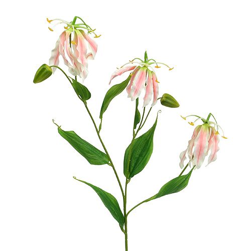 Floristik24 Gloriosa Pink-White sztuczna 84cm 3szt.