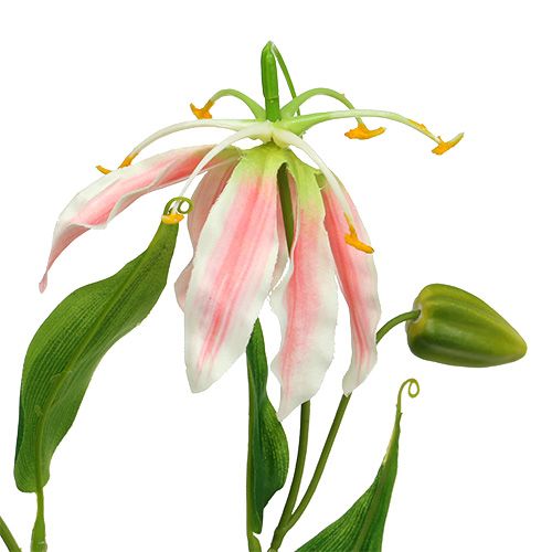 Floristik24 Gloriosa Pink-White sztuczna 84cm 3szt.