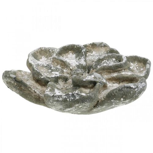 Floristik24 Dekoracja nagrobna, dekoracja betonowa, dekoracja ogrodowa, róża betonowa Ø15,5cm