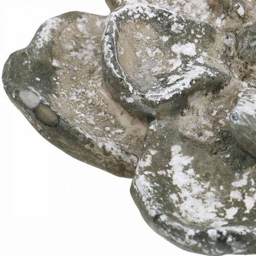 Floristik24 Dekoracja nagrobna, dekoracja betonowa, dekoracja ogrodowa, róża betonowa Ø15,5cm