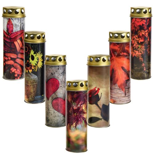 Floristik24 Znicze nagrobne znicze żałobne motywy jesienne kolor Ø6cm wys.20cm 6 sztuk