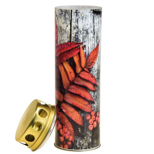 Floristik24 Znicze nagrobne znicze żałobne motywy jesienne kolor Ø6cm wys.20cm 6 sztuk