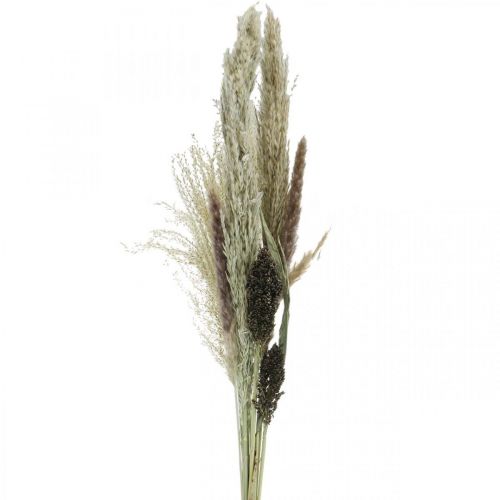 Suszone trawy w wiązce Kwiaciarnia sucha Bukiet suchy wys.70cm