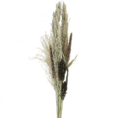 Produkt Suszone trawy w pęczku Florystyka sucha Bukiet suchy wys.70cm